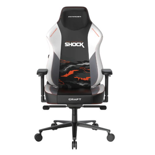 Chair DXRacer | PC Gaming Chair Craft Neo SFS