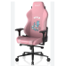 Chair DXRacer  | Craft 001 Pink-Hallo cat