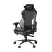 Chair DXRacer | Craft Pro Stripes 2 Black/White