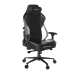 Chair DXRacer | Craft Pro Stripes 2 Black/White