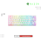 Keyboard Razer | DeathStalker V2 Pro - ( Wireless ) Low Profile Optical Gaming (Clicky Purple Switch) - White Edition - US Layout - World