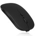 Mouse WIC |  WIRELESS  USB ( Black / GRAY )