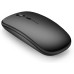 Mouse WIC |  WIRELESS  USB ( Black / GRAY )