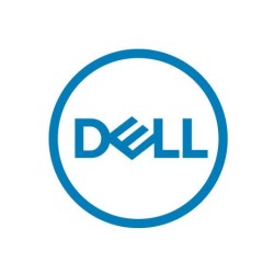 DELL (1)