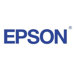 EPSON (11)
